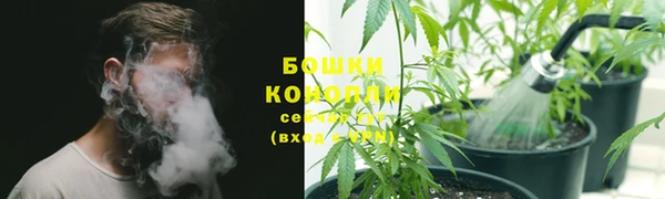PSILOCYBIN Нефтегорск