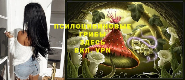 кокс Нея