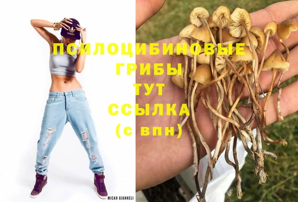 Альфа ПВП Нефтекумск