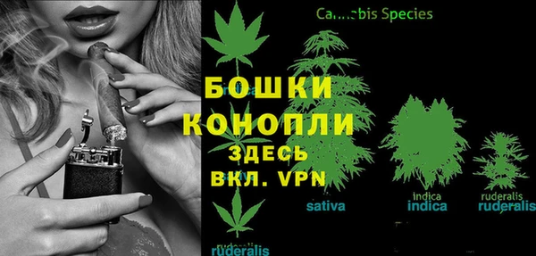 PSILOCYBIN Нефтегорск