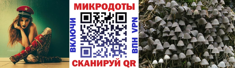 хочу наркоту  Ейск  Псилоцибиновые грибы MAGIC MUSHROOMS 