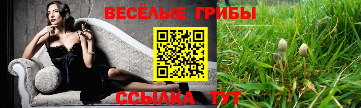 Ейск  купить наркотик  Псилоцибиновые грибы MAGIC MUSHROOMS  Вход с VPN  Псилоцибиновые грибы мухоморы 
