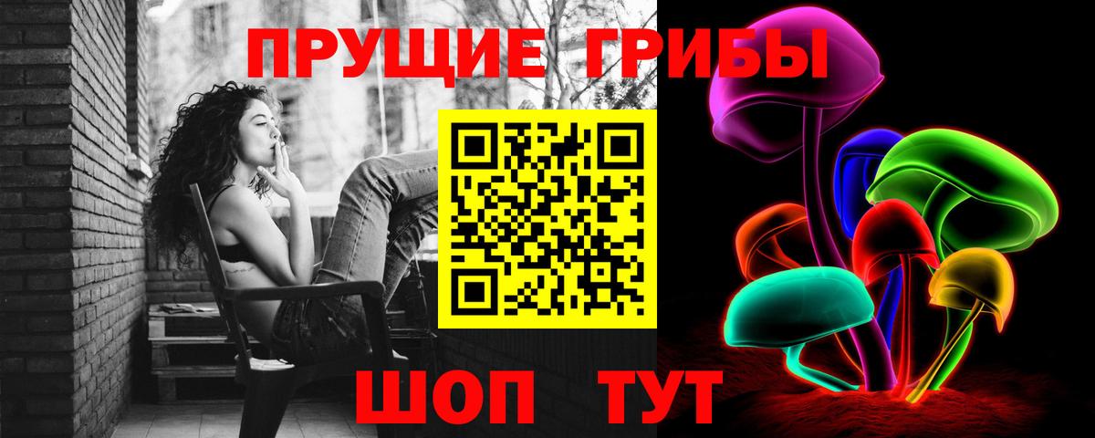 Псилоцибиновые грибы Psilocybine cubensis  Ейск 