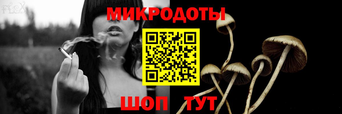 Галлюциногенные грибы Cubensis Ейск