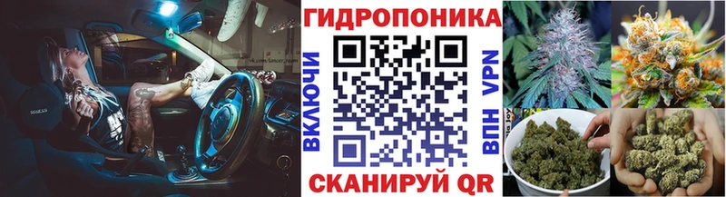 дарнет шоп  Ейск  Шишки марихуана марихуана 